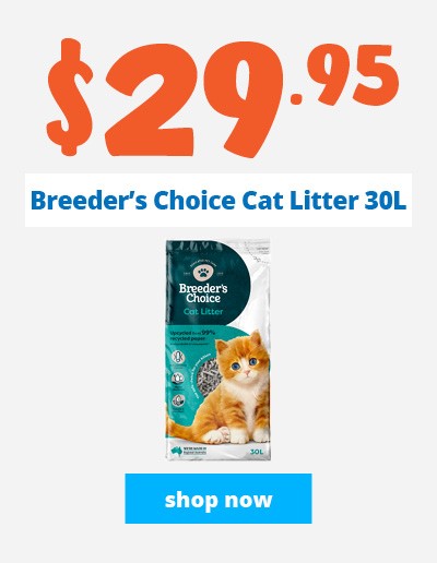 Pet City Mt Gravatt Pet Shop Pet Supplies Pet Food